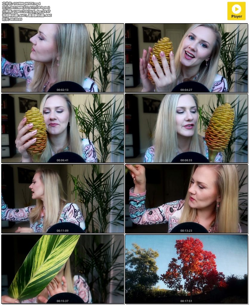 敲击植物 轻语Shampoo Plant ? ASMR ?插图 敲击植物 轻语Shampoo Plant ? ASMR ?插图