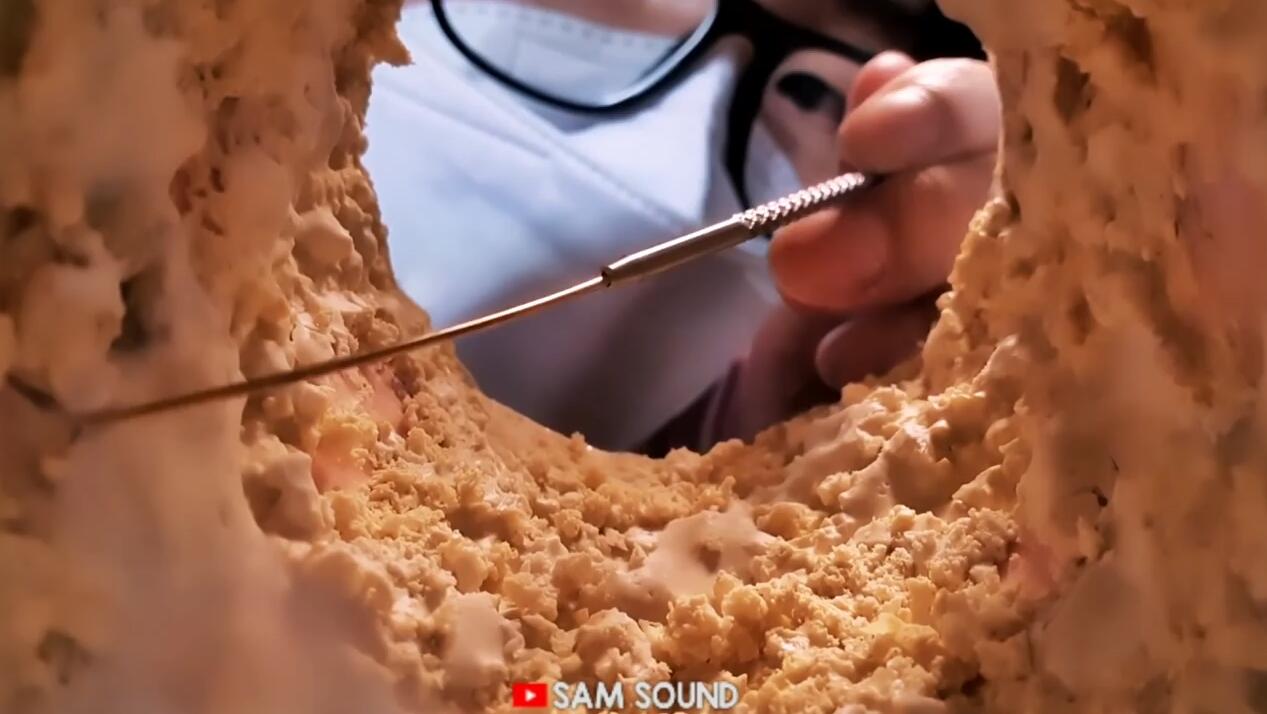 SAM ASMR 视觉大满足内部视角 强力清洁耳道污垢插图 SAM ASMR 视觉大满足内部视角 强力清洁耳道污垢插图