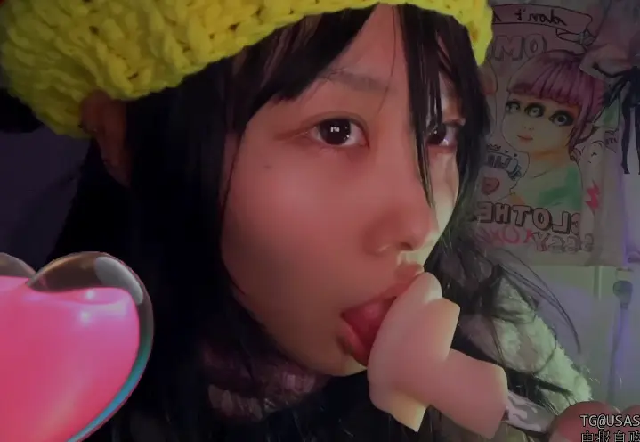 付费视频-电子小狼_(9)