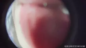 付费视频-布鲁比呐呐_鱼眼镜头舔屏_布鲁比呐呐11